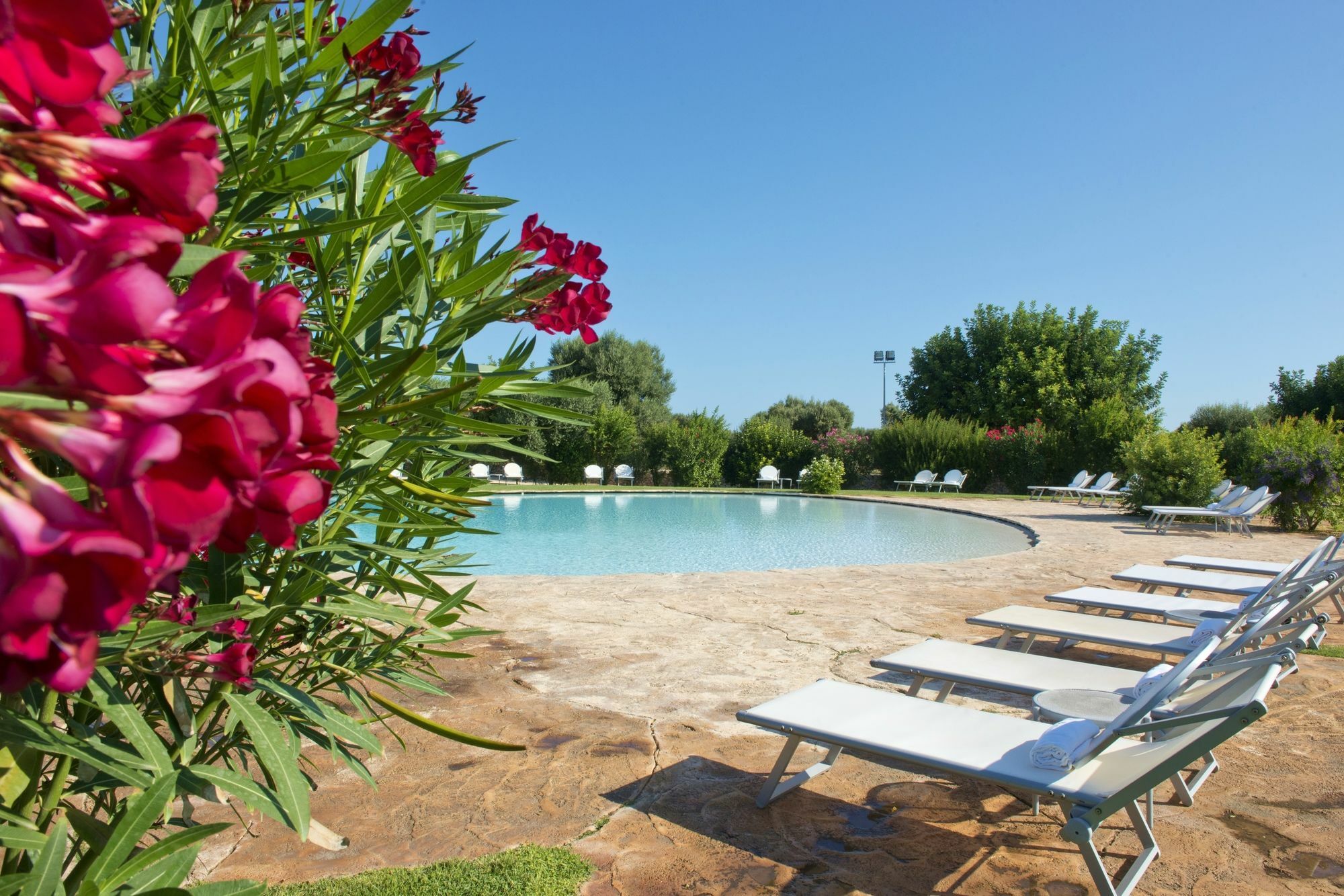 Masseria Don Luigi-Luxury Farmhouse 萨维勒特里 外观 照片