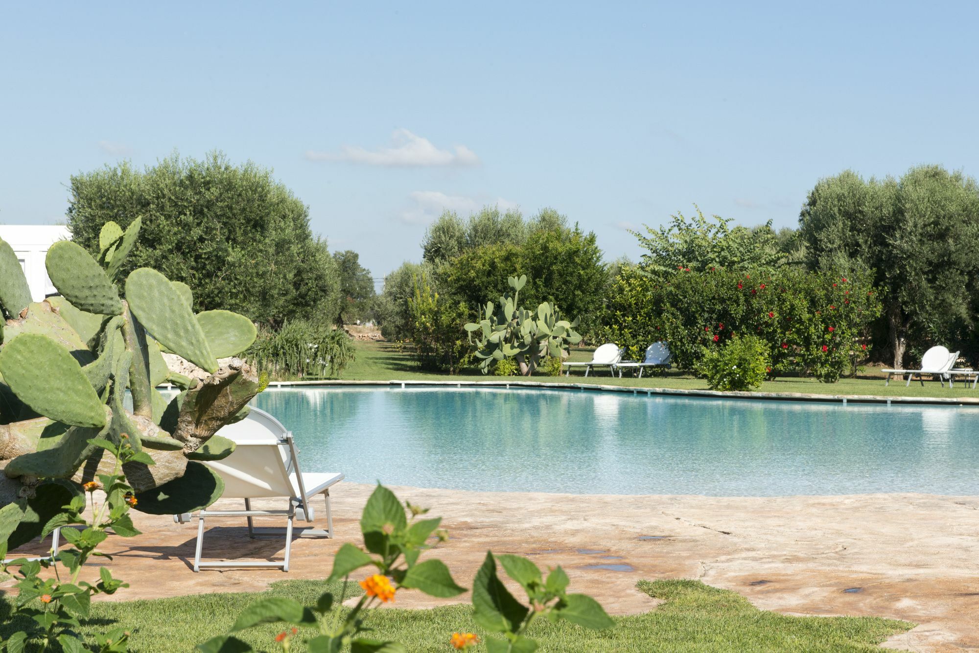 Masseria Don Luigi-Luxury Farmhouse 萨维勒特里 外观 照片